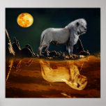 Lion by moonlight posters