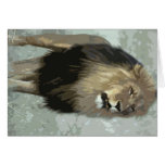 Lion Greeting Cards