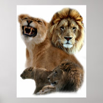 Lion Collage Poster
