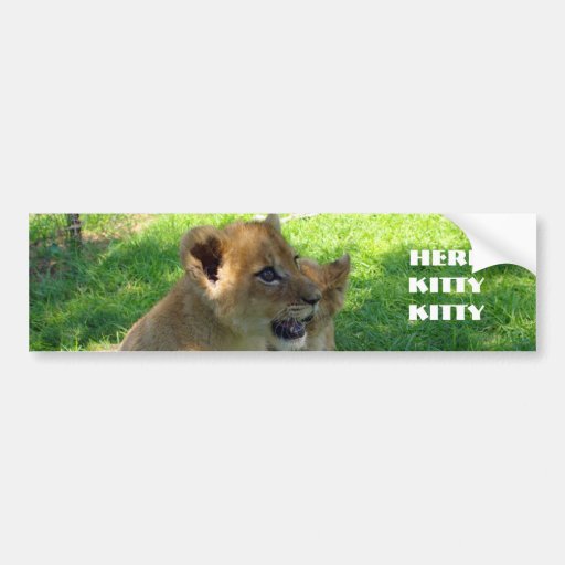 Lion Cub Bumper Sticker