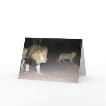 Lion & Cub Card