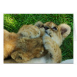 Lion Cub Note Card 4