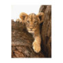 Lion Cub
