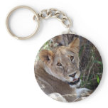 lion face keychains