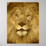 Lion (Face to Face) Poster