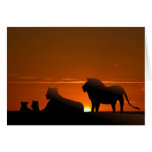 lion family cards