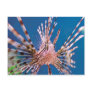 Lion Fish Looking at You Postcard
