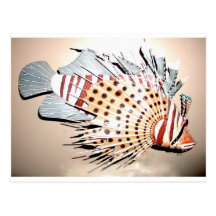 LION FISH POSTCARD