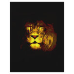 Lion Flyer