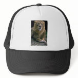 Lion Hats