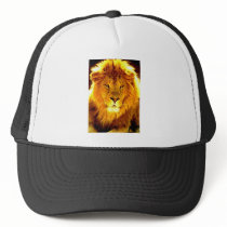 Lion Hats