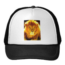 Lion Hats