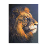 Lion (head study) post card