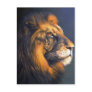 Lion (head study) post card