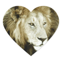 Lion Head Study Sticker