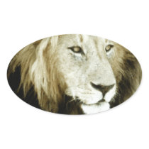 Lion Head Study Oval Sticker