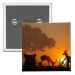 Lion Hunt Pins