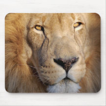 Lion Images Mouse Pad