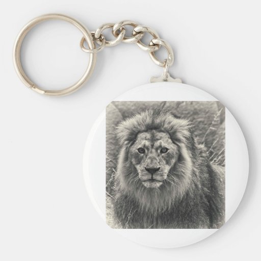 Lion In Black and White Keychains