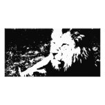 Lion in Black and White photo cards