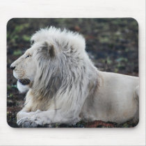 Lion in repose mousepads