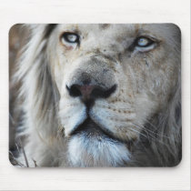Lion listens to my heartbeat mousepads