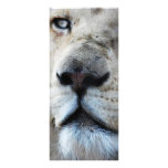 Lion listens to my heartbeat rack card