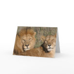 Lion Love - Card