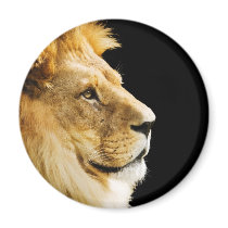 Lion Fridge Magnet