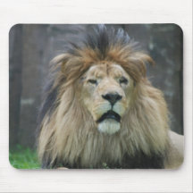 Lion  Mouse Pad