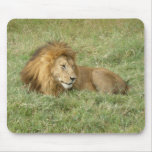 Lion Mouse Pad mousepads