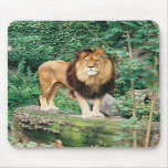 Lion Mousepad