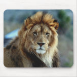 Lion mousepads
