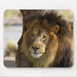 Lion Mousepads