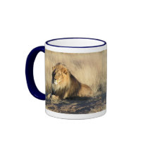 Lion Mugs