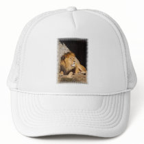 Lion Photo Baseball Hat