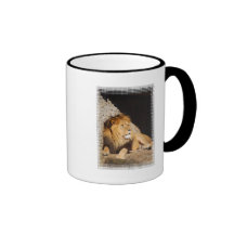 Lion Photo Coffee Mug