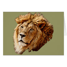 Lion Picture Card