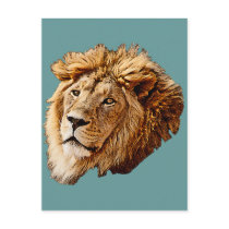 Lion Picture Postcards