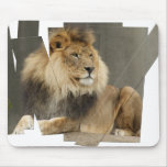 LION PIECES - PHOTO CUTUP AND REARRANGED MOUSEPAD