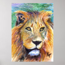 Lion Portrait ACEO Poster