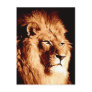 Lion Postcard