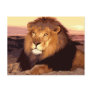 Lion Post Cards