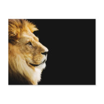 Lion Postcards