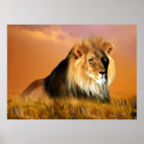 Lion Poster