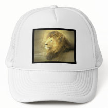 Lion Pride Baseball Hat