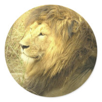 Lion Pride Sticker