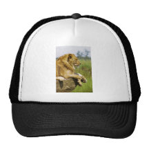 Lion Profile Mesh Hats
