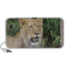 Lion Roar Speakers