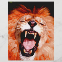 Lion Roaring Full Color Flyer